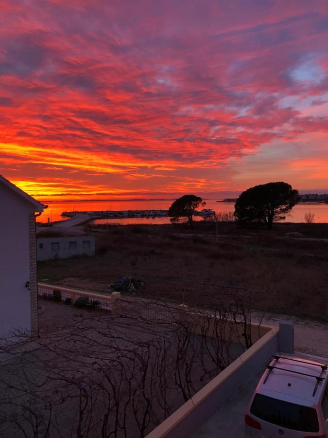 Apartments Villa Prima Privlaka  Dış mekan fotoğraf