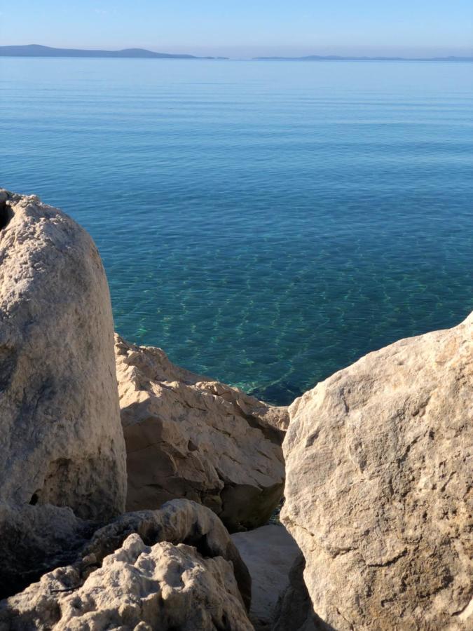 Apartments Villa Prima Privlaka  Dış mekan fotoğraf